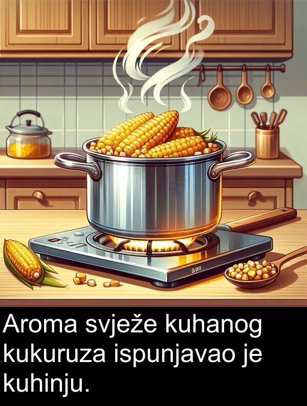 ispunjavao: Aroma svježe kuhanog kukuruza ispunjavao je kuhinju.