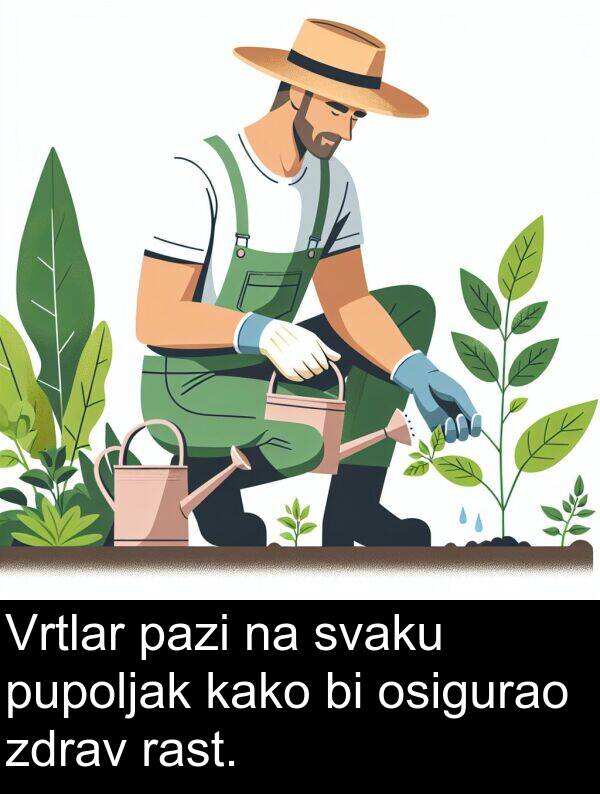 pazi: Vrtlar pazi na svaku pupoljak kako bi osigurao zdrav rast.