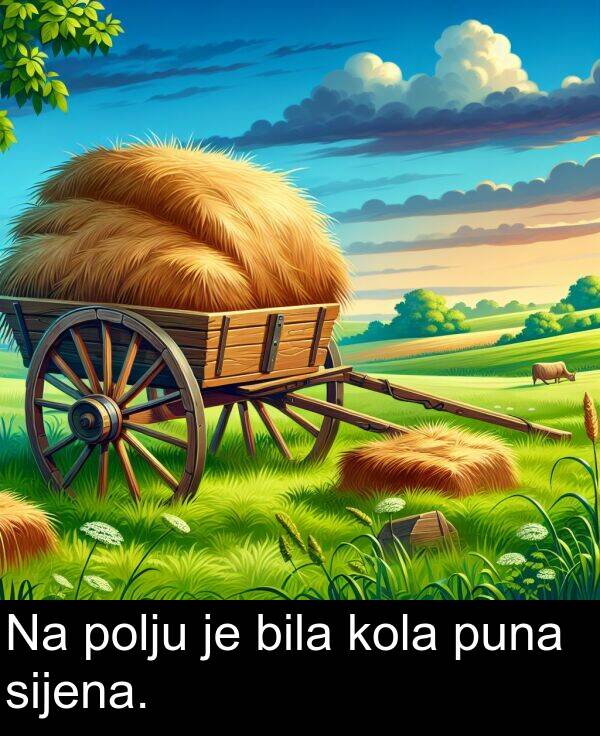 puna: Na polju je bila kola puna sijena.