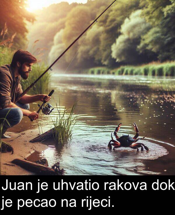rakova: Juan je uhvatio rakova dok je pecao na rijeci.