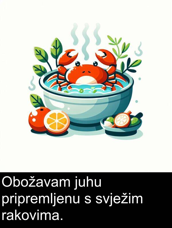 svježim: Obožavam juhu pripremljenu s svježim rakovima.