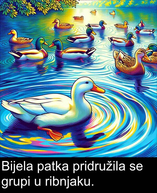 patka: Bijela patka pridružila se grupi u ribnjaku.