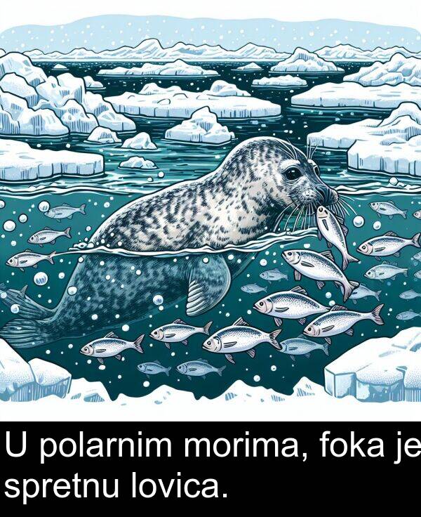 foka: U polarnim morima, foka je spretnu lovica.