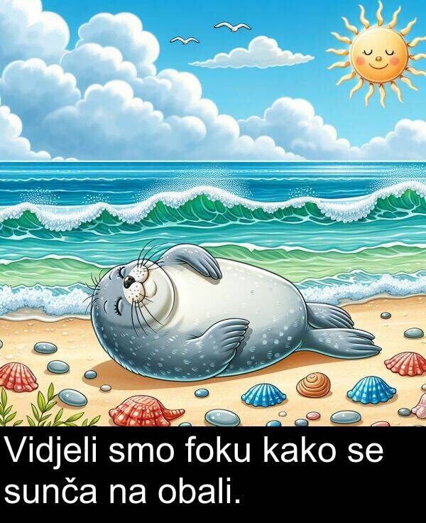 foku: Vidjeli smo foku kako se sunča na obali.