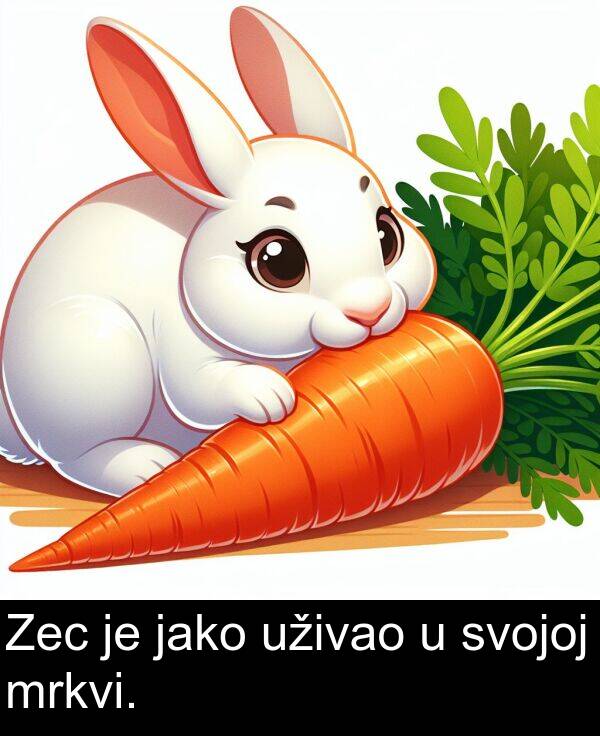 svojoj: Zec je jako uživao u svojoj mrkvi.