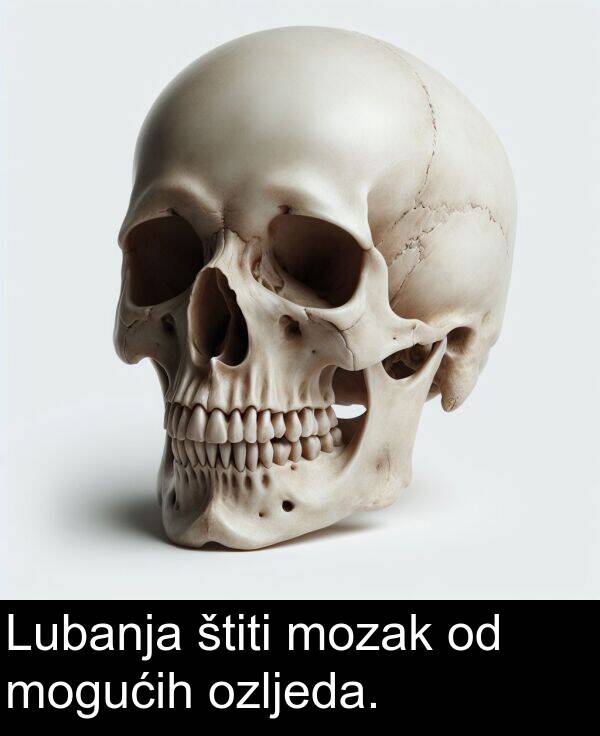 ozljeda: Lubanja štiti mozak od mogućih ozljeda.