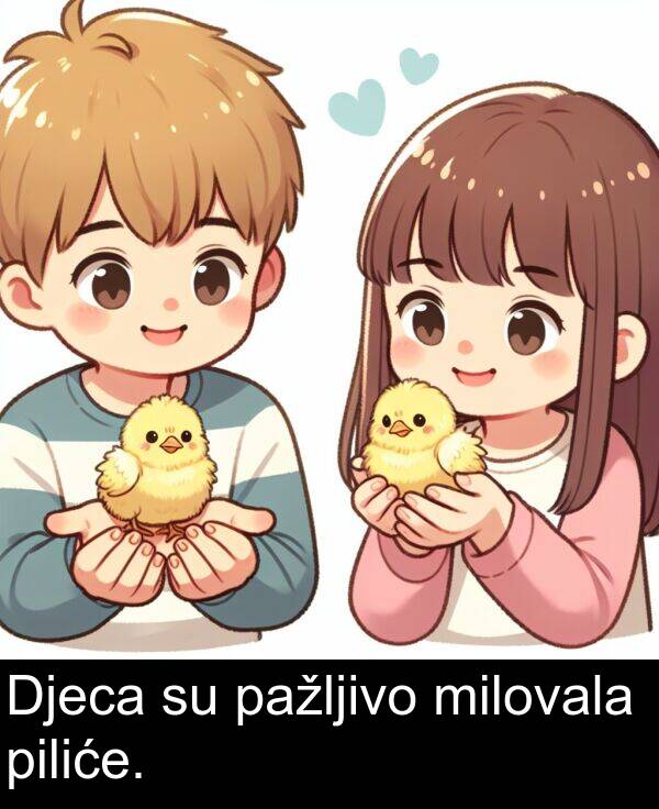 piliće: Djeca su pažljivo milovala piliće.