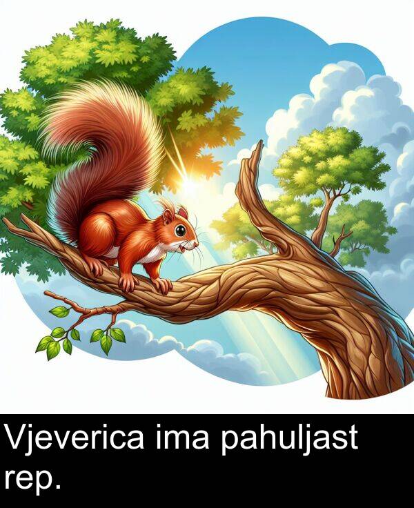 ima: Vjeverica ima pahuljast rep.
