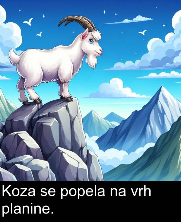 planine: Koza se popela na vrh planine.