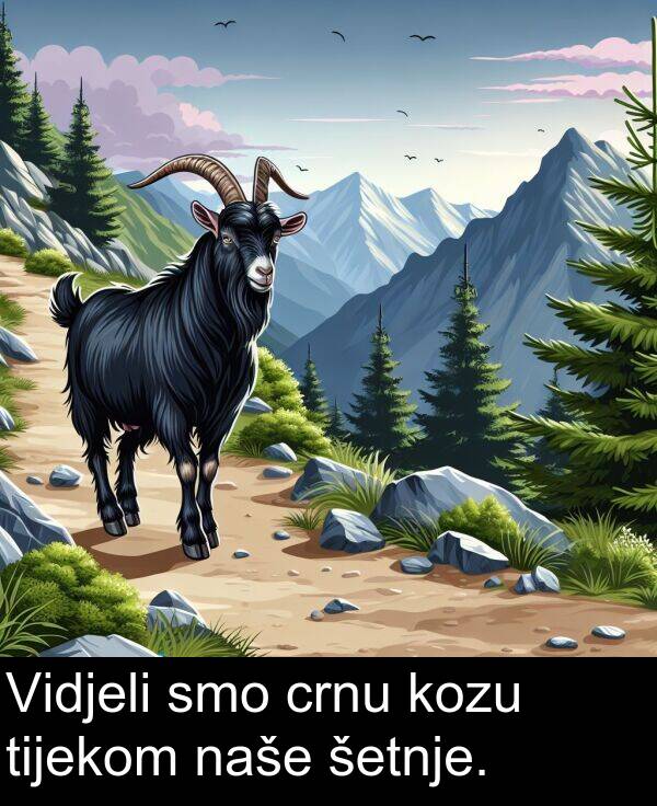 crnu: Vidjeli smo crnu kozu tijekom naše šetnje.