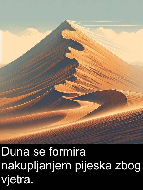 formira: Duna se formira nakupljanjem pijeska zbog vjetra.