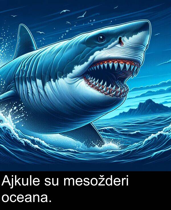 mesožderi: Ajkule su mesožderi oceana.