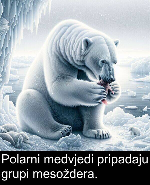 mesoždera: Polarni medvjedi pripadaju grupi mesoždera.