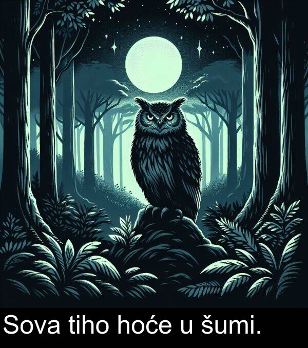 hoće: Sova tiho hoće u šumi.