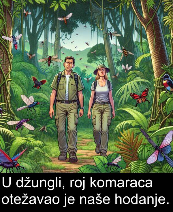 hodanje: U džungli, roj komaraca otežavao je naše hodanje.