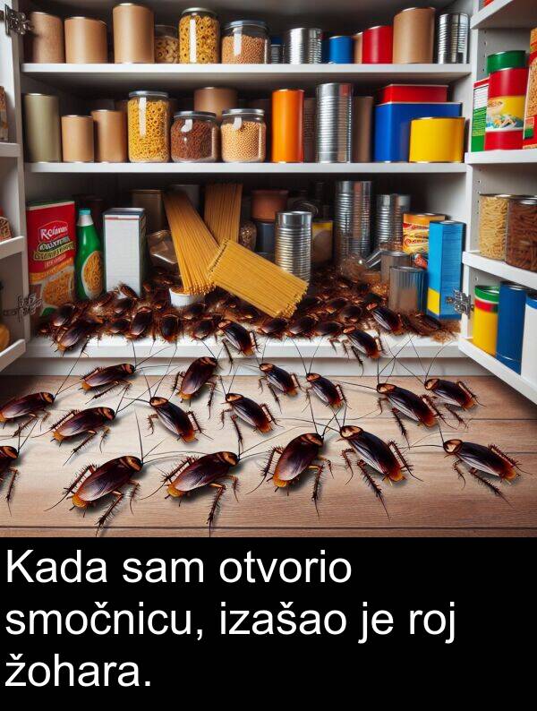 smočnicu: Kada sam otvorio smočnicu, izašao je roj žohara.