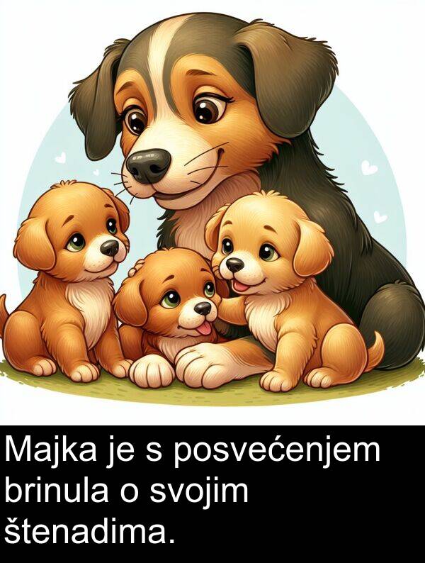 posvećenjem: Majka je s posvećenjem brinula o svojim štenadima.