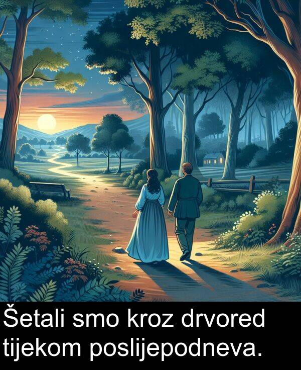 tijekom: Šetali smo kroz drvored tijekom poslijepodneva.