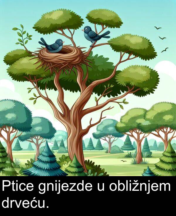gnijezde: Ptice gnijezde u obližnjem drveću.