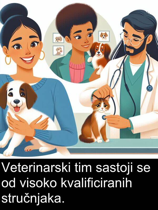 visoko: Veterinarski tim sastoji se od visoko kvalificiranih stručnjaka.