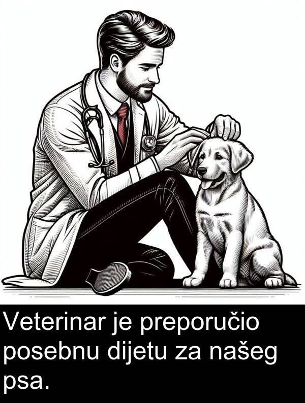 posebnu: Veterinar je preporučio posebnu dijetu za našeg psa.
