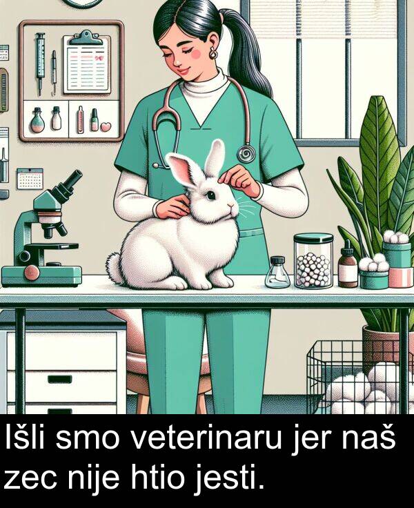 htio: Išli smo veterinaru jer naš zec nije htio jesti.