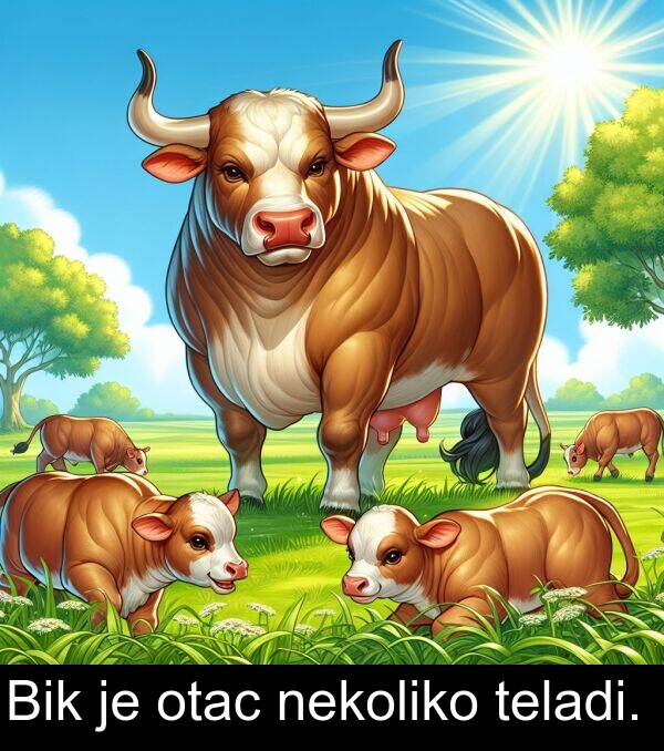 teladi: Bik je otac nekoliko teladi.