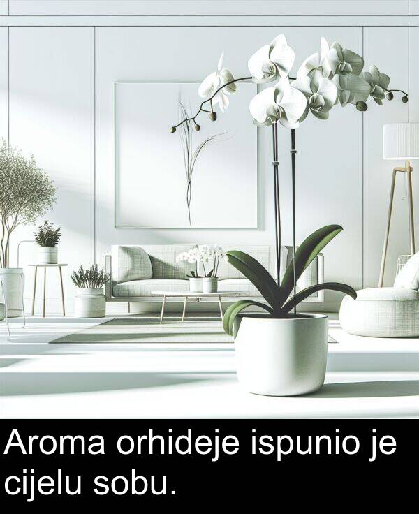cijelu: Aroma orhideje ispunio je cijelu sobu.