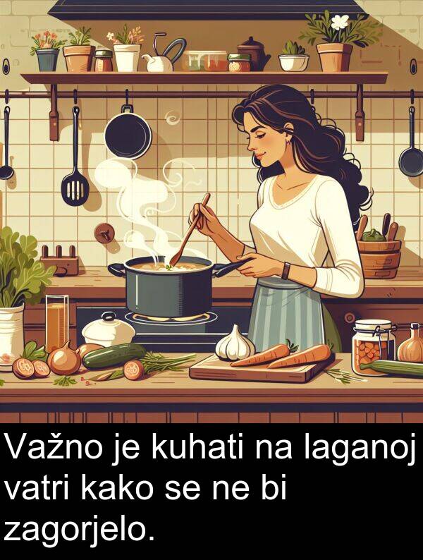 zagorjelo: Važno je kuhati na laganoj vatri kako se ne bi zagorjelo.