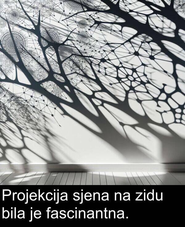 bila: Projekcija sjena na zidu bila je fascinantna.