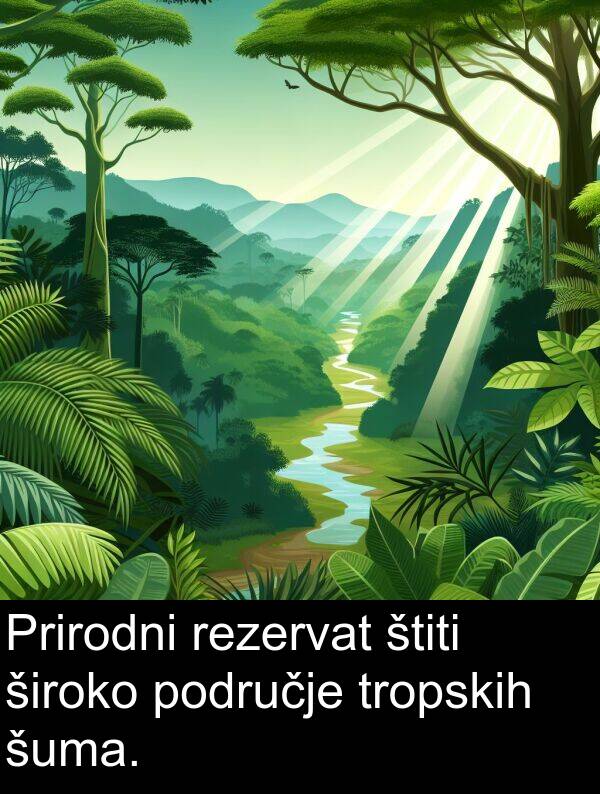 tropskih: Prirodni rezervat štiti široko područje tropskih šuma.