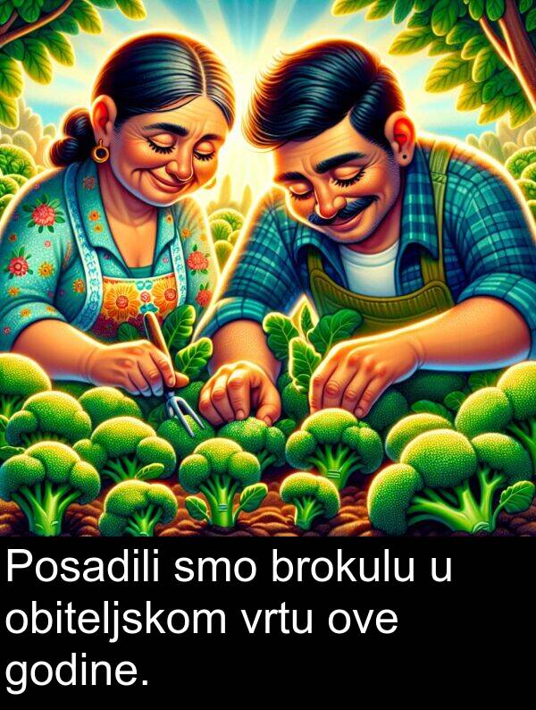 godine: Posadili smo brokulu u obiteljskom vrtu ove godine.