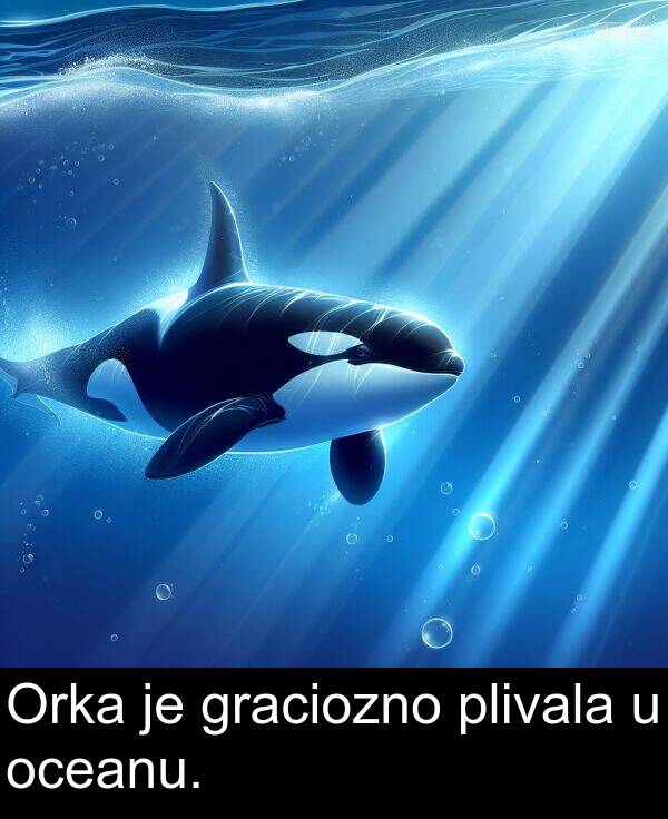oceanu: Orka je graciozno plivala u oceanu.
