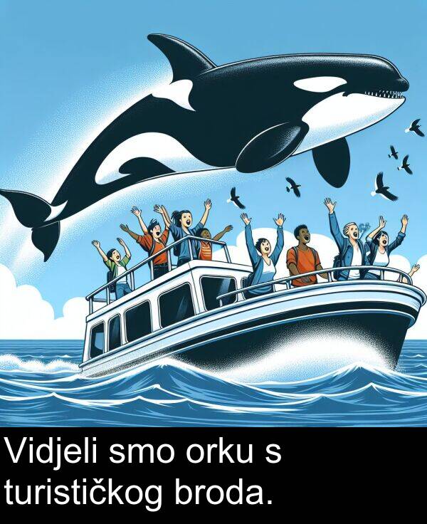 broda: Vidjeli smo orku s turističkog broda.