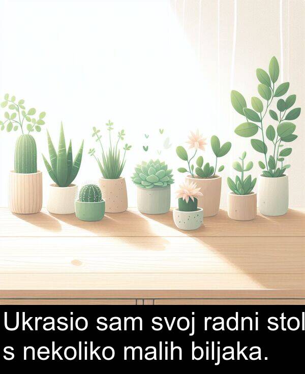 biljaka: Ukrasio sam svoj radni stol s nekoliko malih biljaka.