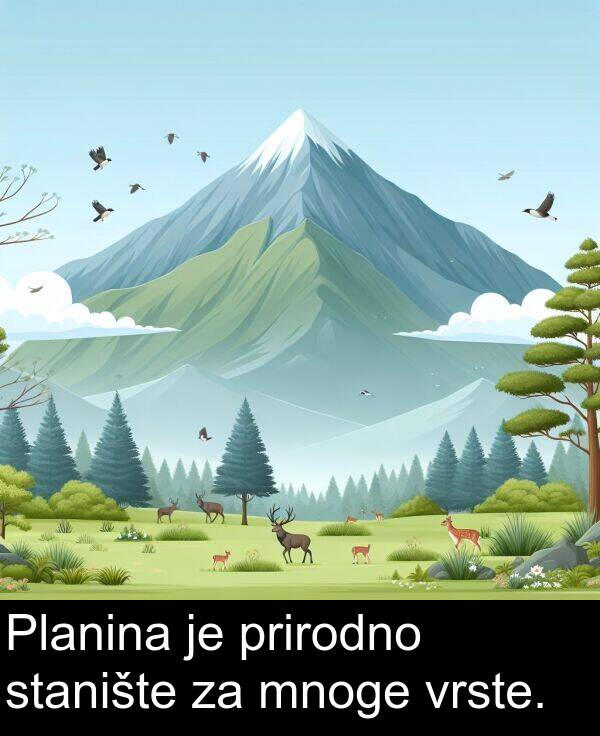 vrste: Planina je prirodno stanište za mnoge vrste.