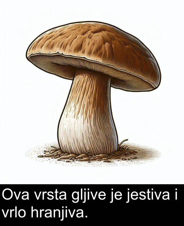 hranjiva: Ova vrsta gljive je jestiva i vrlo hranjiva.