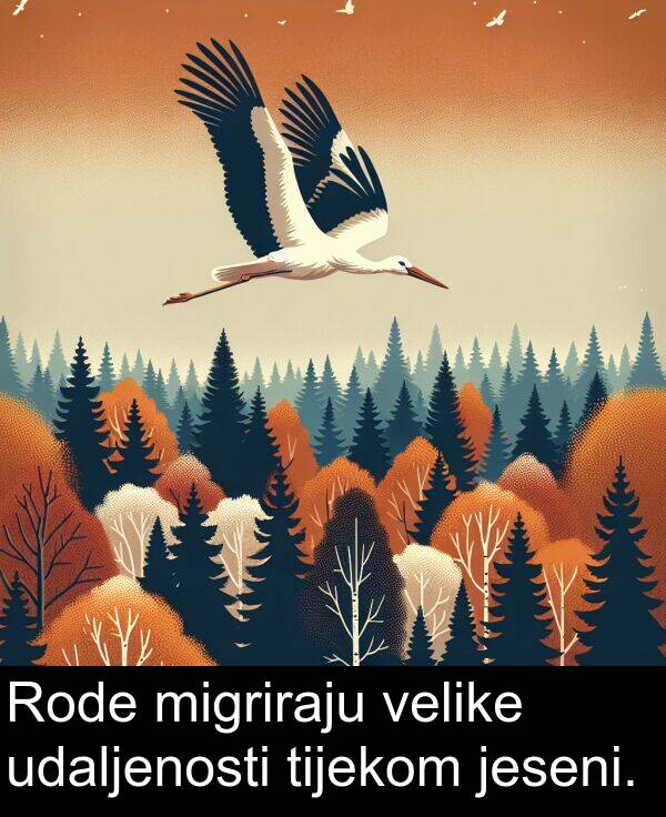 tijekom: Rode migriraju velike udaljenosti tijekom jeseni.
