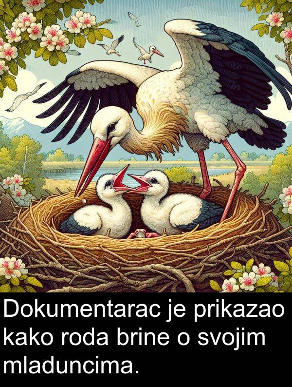 brine: Dokumentarac je prikazao kako roda brine o svojim mladuncima.
