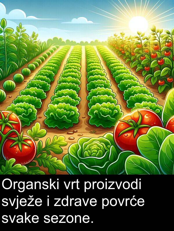 svježe: Organski vrt proizvodi svježe i zdrave povrće svake sezone.