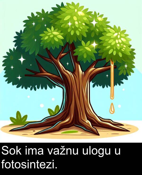 ima: Sok ima važnu ulogu u fotosintezi.