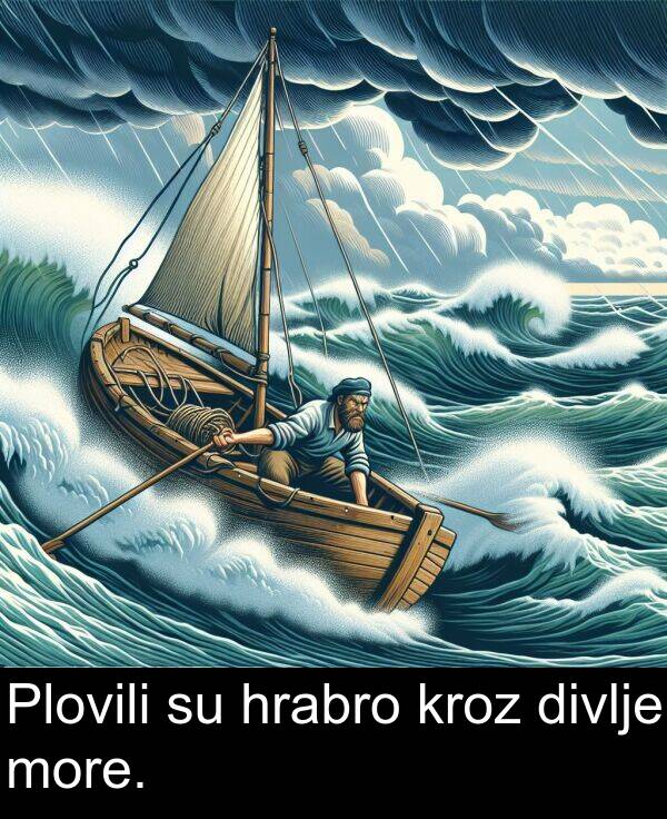 divlje: Plovili su hrabro kroz divlje more.