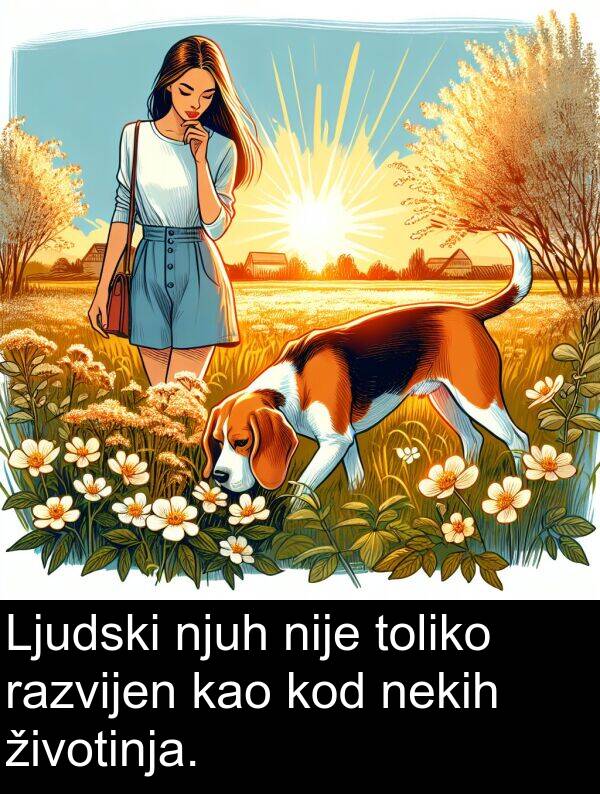 toliko: Ljudski njuh nije toliko razvijen kao kod nekih životinja.