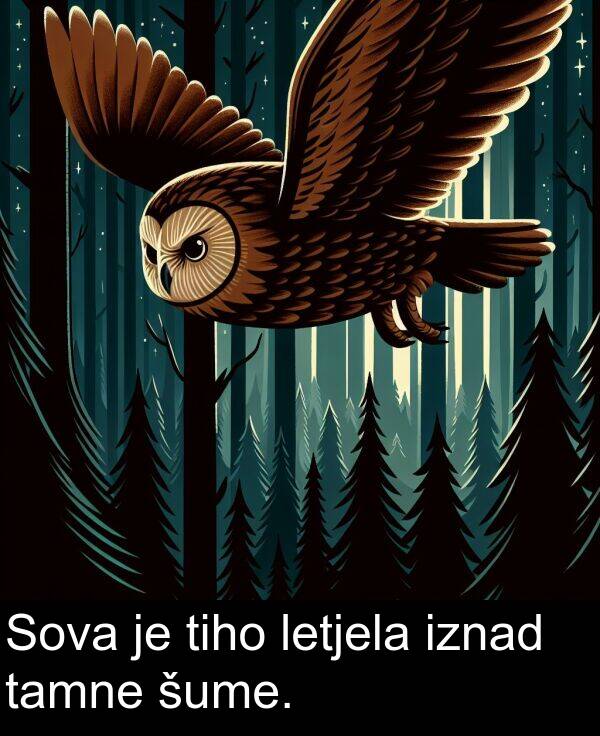 tamne: Sova je tiho letjela iznad tamne šume.