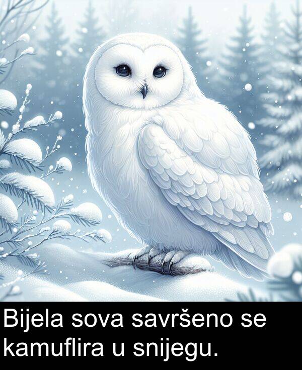 kamuflira: Bijela sova savršeno se kamuflira u snijegu.