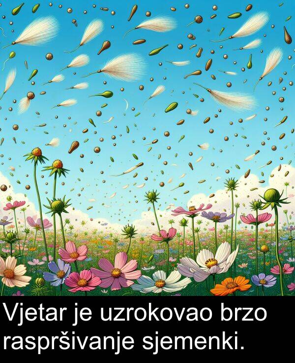 raspršivanje: Vjetar je uzrokovao brzo raspršivanje sjemenki.