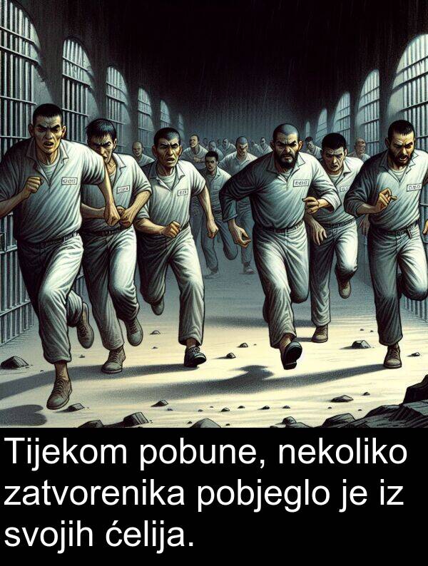 svojih: Tijekom pobune, nekoliko zatvorenika pobjeglo je iz svojih ćelija.