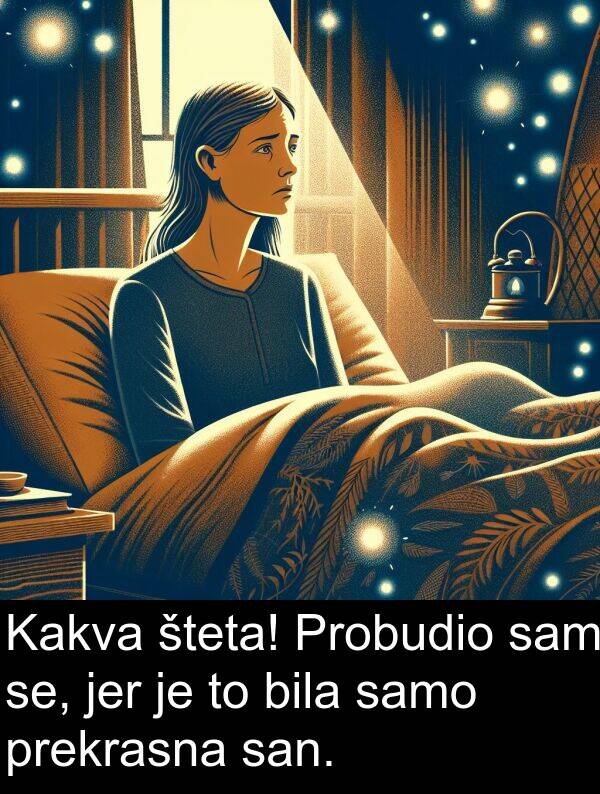 samo: Kakva šteta! Probudio sam se, jer je to bila samo prekrasna san.