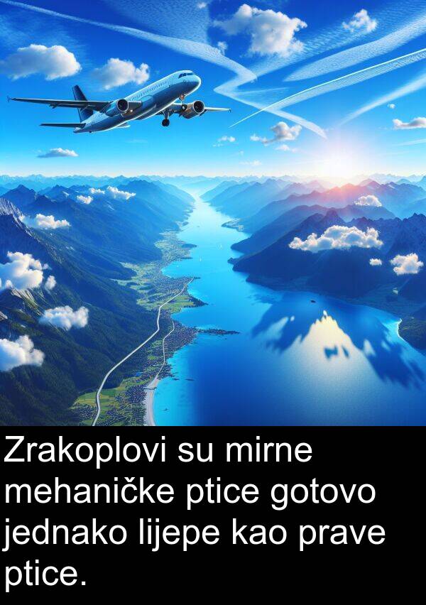 kao: Zrakoplovi su mirne mehaničke ptice gotovo jednako lijepe kao prave ptice.