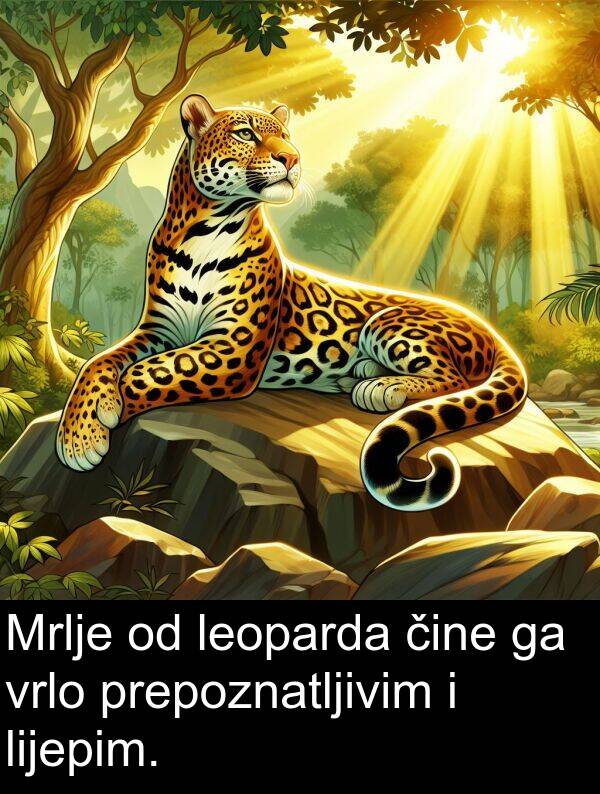 čine: Mrlje od leoparda čine ga vrlo prepoznatljivim i lijepim.